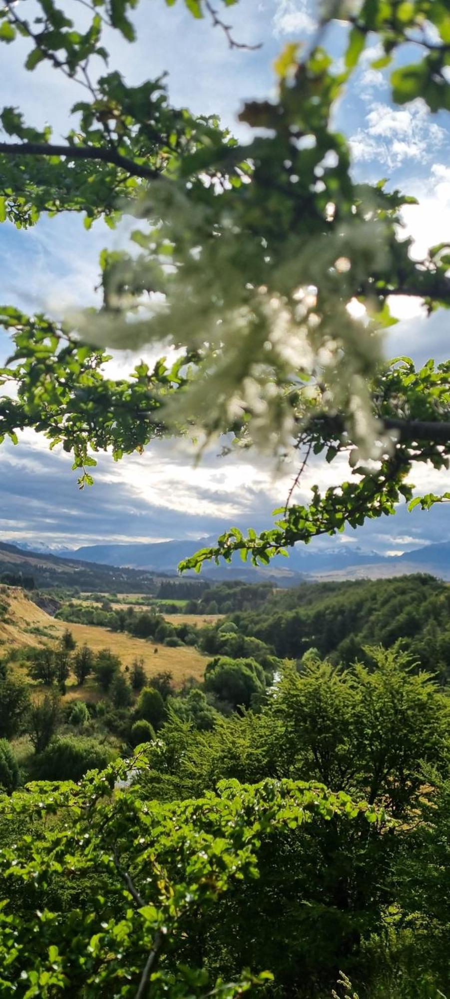 Cabanas Lucas Patagon Coyhaique Szoba fotó